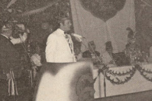 Mückenstich 1973