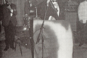 Mückenstich 1977