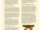 Seite 034 Die Geschichte zum Orden-p1