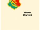 Seite 029 Senator 2014 2015 - noch nicht fertig-p1